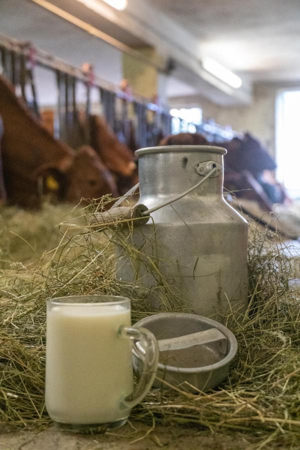 Erlebnishof Tschabitscher Farm stay *
